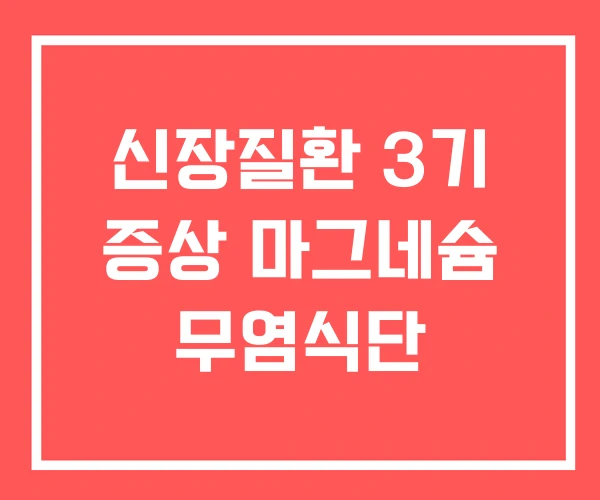 신장질환 3기 증상 마그네슘 무염식단