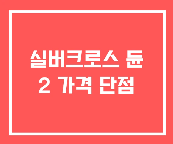 실버크로스 듄 2 가격 단점