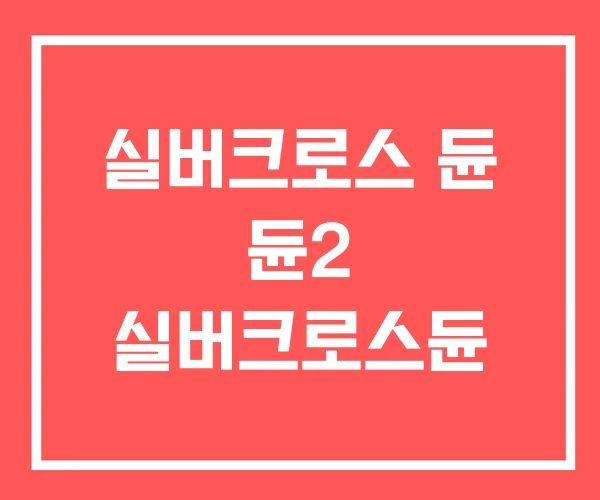 실버크로스 듄 듄2 실버크로스듄