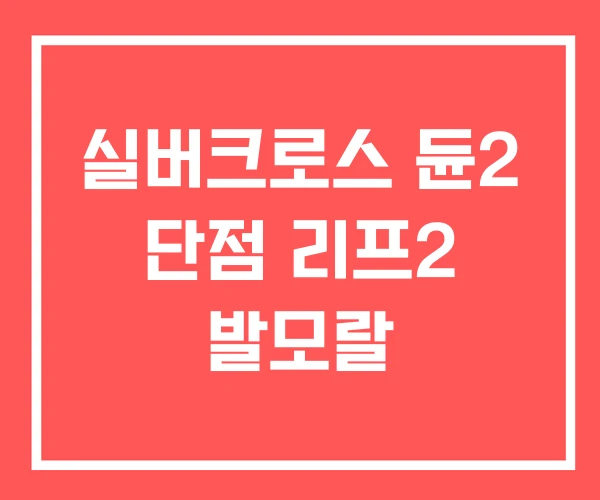실버크로스 듄2 단점 리프2 발모랄