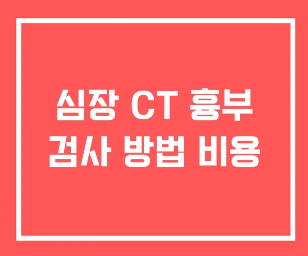심장 CT 흉부 검사 방법 비용