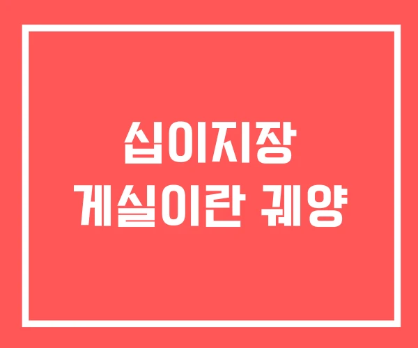 십이지장 게실이란 궤양