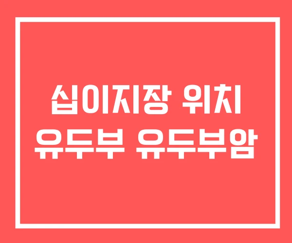 십이지장 위치 유두부 유두부암