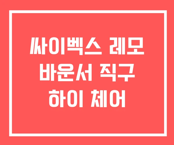싸이벡스 레모 바운서 직구 하이 체어