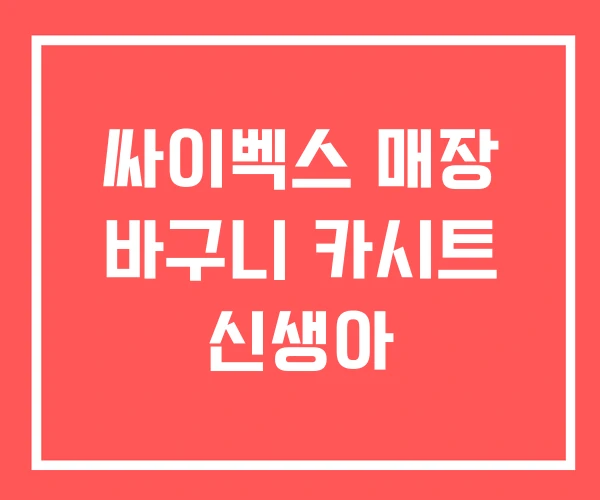 싸이벡스 매장 바구니 카시트 신생아