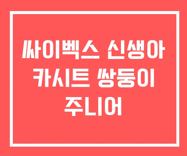 싸이벡스 신생아 카시트 쌍둥이 주니어