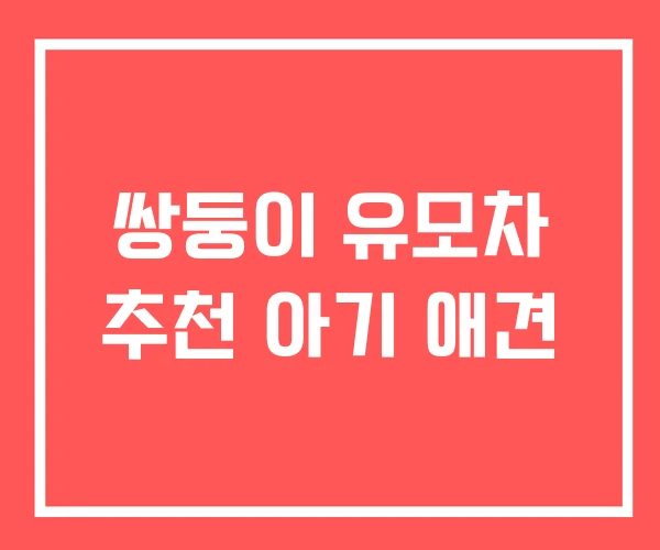 쌍둥이 유모차 추천 아기 애견