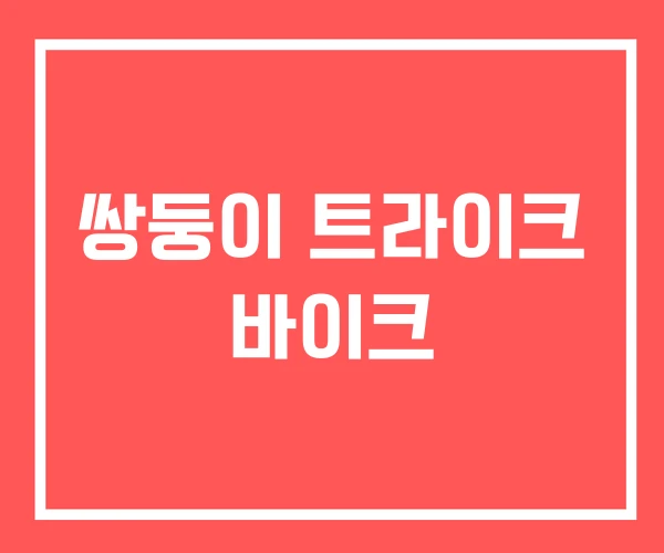 쌍둥이 트라이크 바이크