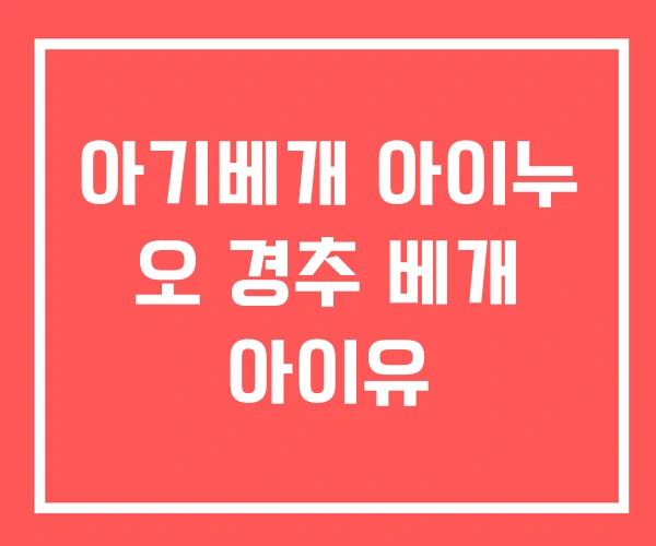 아기베개 아이누 오 경추 베개 아이유