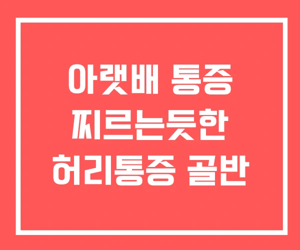 아랫배 통증 찌르는듯한 허리통증 골반