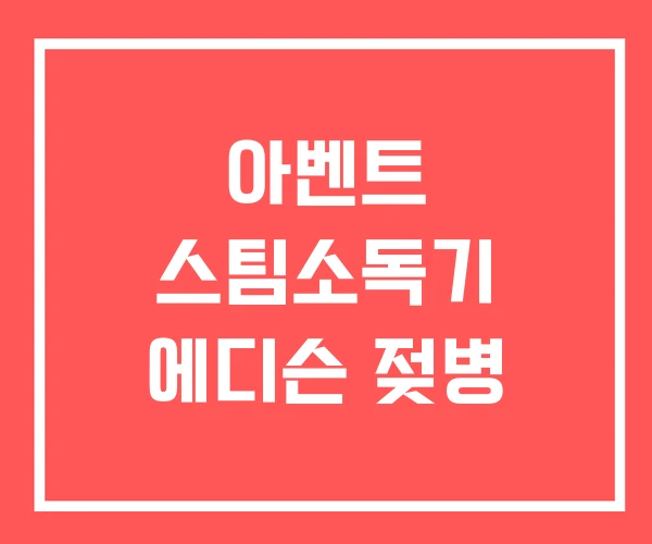 아벤트 스팀소독기 에디슨 젖병