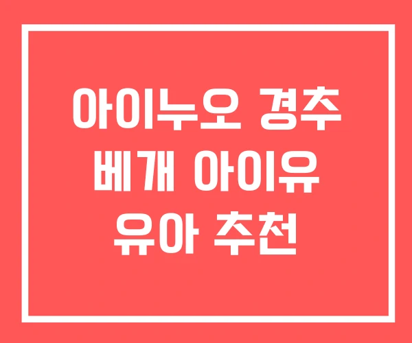 아이누오 경추 베개 아이유 유아 추천