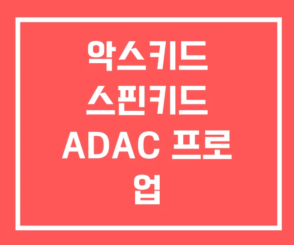 악스키드 스핀키드 ADAC 프로 업