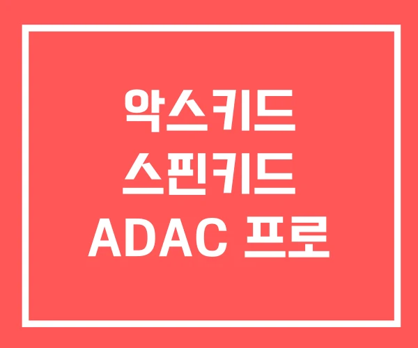 악스키드 스핀키드 ADAC 프로