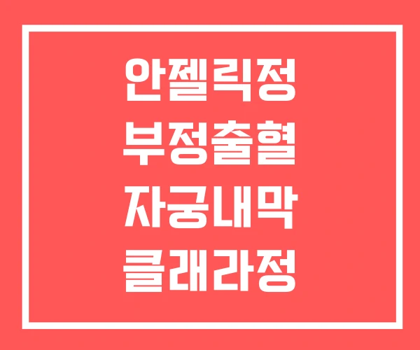 안젤릭정 부정출혈 자궁내막 클래라정