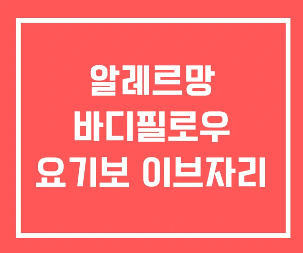 알레르망 바디필로우 요기보 이브자리