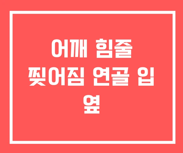 어깨 힘줄 찢어짐 연골 입 옆