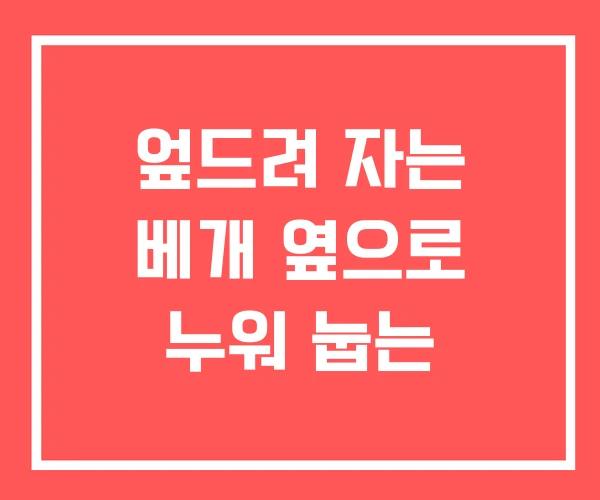엎드려 자는 베개 옆으로 누워 눕는