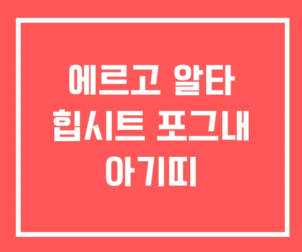 에르고 알타 힙시트 포그내 아기띠