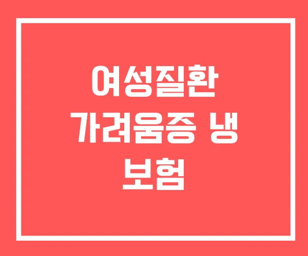여성질환 가려움증 냉 보험