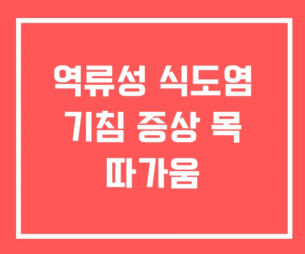 역류성 식도염 기침 증상 목 따가움