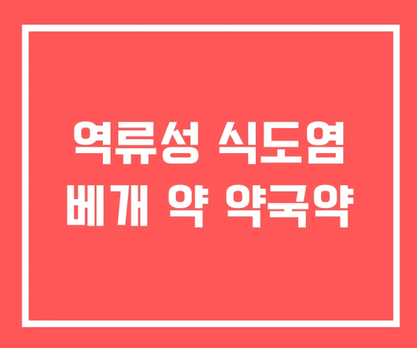 역류성 식도염 베개 약 약국약