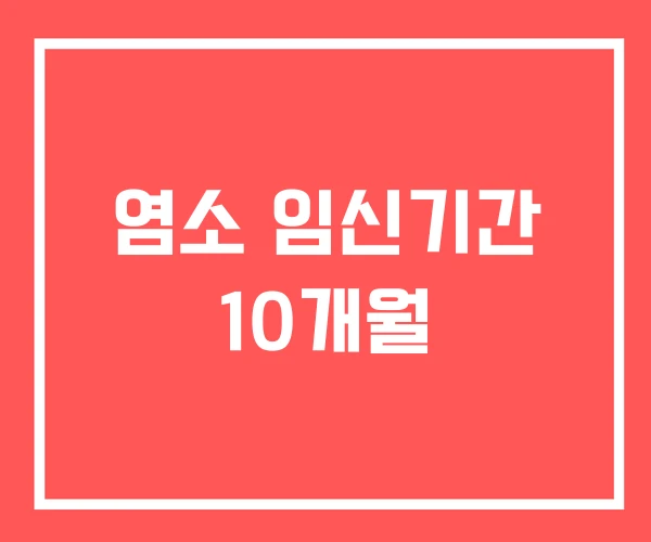 염소 임신기간 10개월