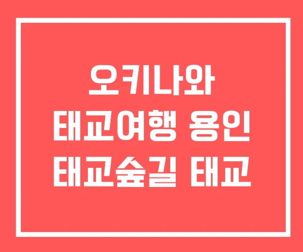 오키나와 태교여행 용인 태교숲길 태교