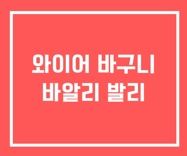 와이어 바구니 바알리 발리