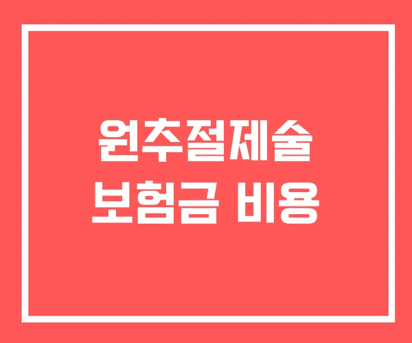 원추절제술 보험금 비용