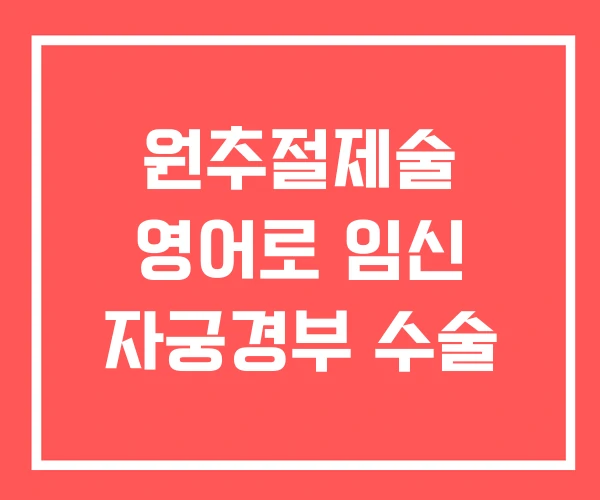 원추절제술 영어로 임신 자궁경부 수술