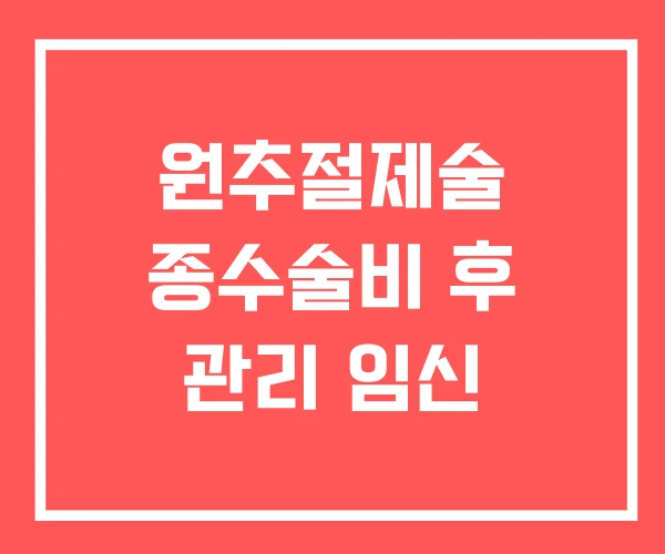원추절제술 종수술비 후 관리 임신