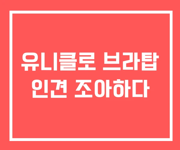 유니클로 브라탑 인견 조아하다