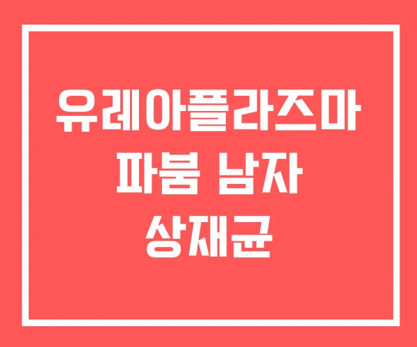 유레아플라즈마 파붐 남자 상재균