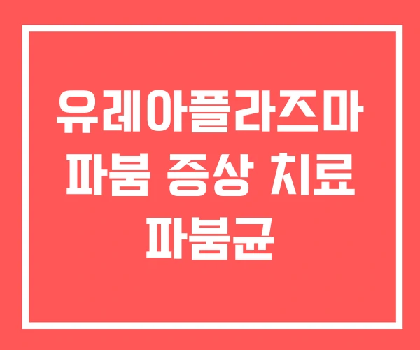 유레아플라즈마 파붐 증상 치료 파붐균