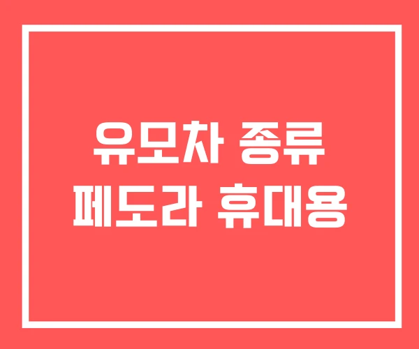 유모차 종류 페도라 휴대용