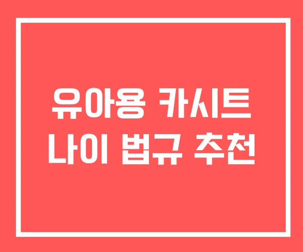 유아용 카시트 나이 법규 추천