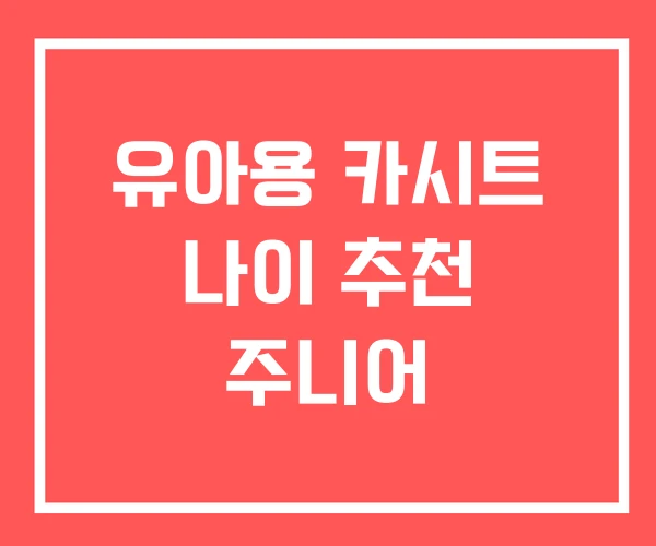 유아용 카시트 나이 추천 주니어