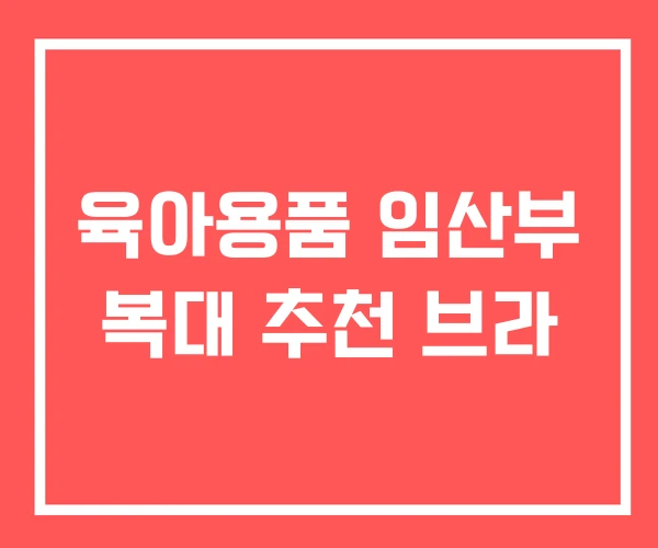 육아용품 임산부 복대 추천 브라