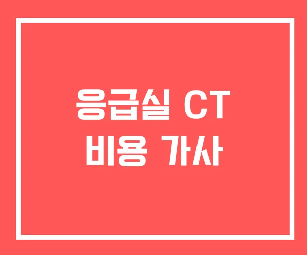 응급실 CT 비용 가사