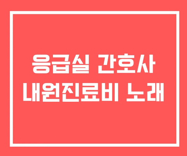 응급실 간호사 내원진료비 노래