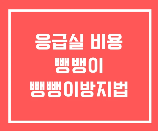 응급실 비용 뺑뱅이 뺑뺑이방지법