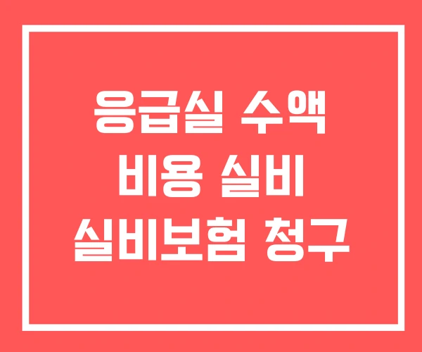 응급실 수액 비용 실비 실비보험 청구