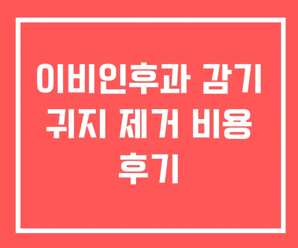 이비인후과 감기 귀지 제거 비용 후기