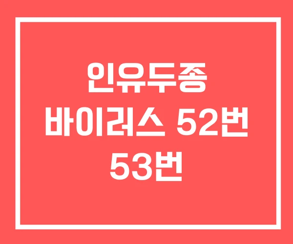 인유두종 바이러스 52번 53번