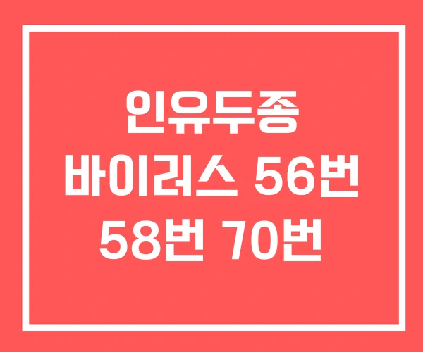 인유두종 바이러스 56번 58번 70번