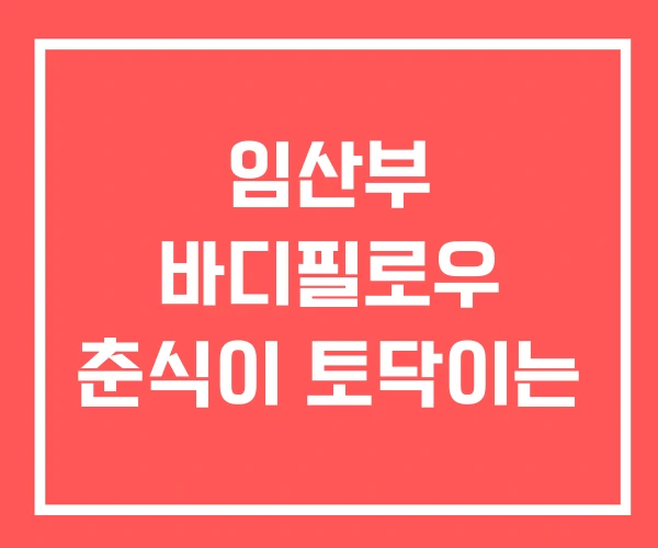 임산부 바디필로우 춘식이 토닥이는