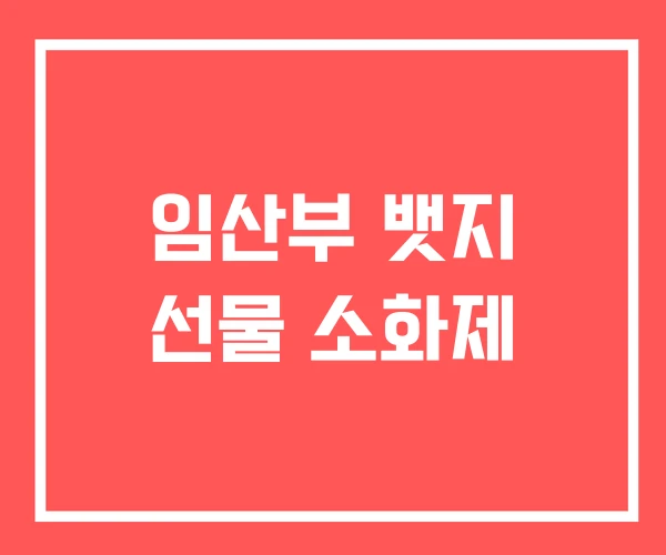임산부 뱃지 선물 소화제