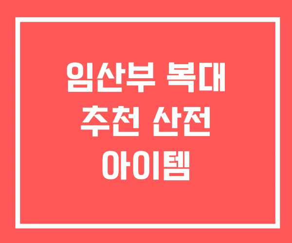 임산부 복대 추천 산전 아이템