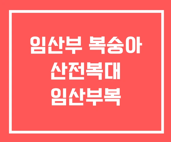 임산부 복숭아 산전복대 임산부복